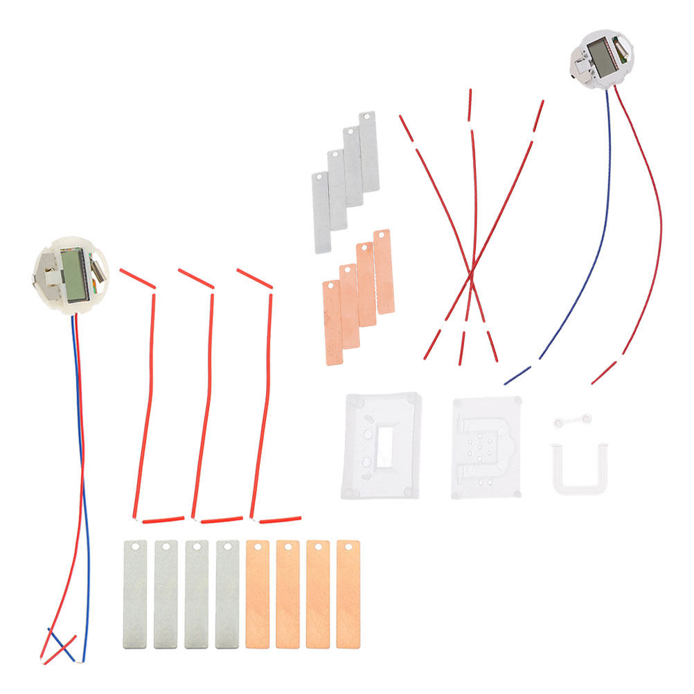 2Sets Fruit Battery Science Ex - огляд і ціна Diy Electronics Projects For Kids